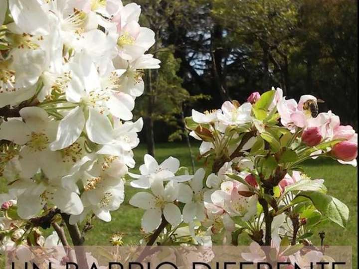 Terreno en venta en Pinares, Maldonado