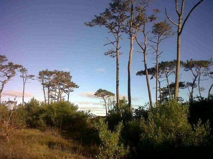 Terreno en venta en Pinares, Maldonado