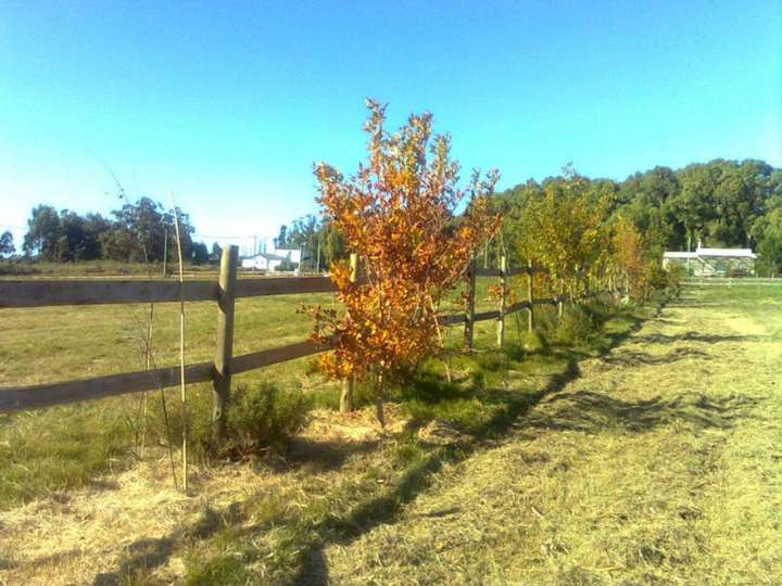 Terreno en venta en Maldonado