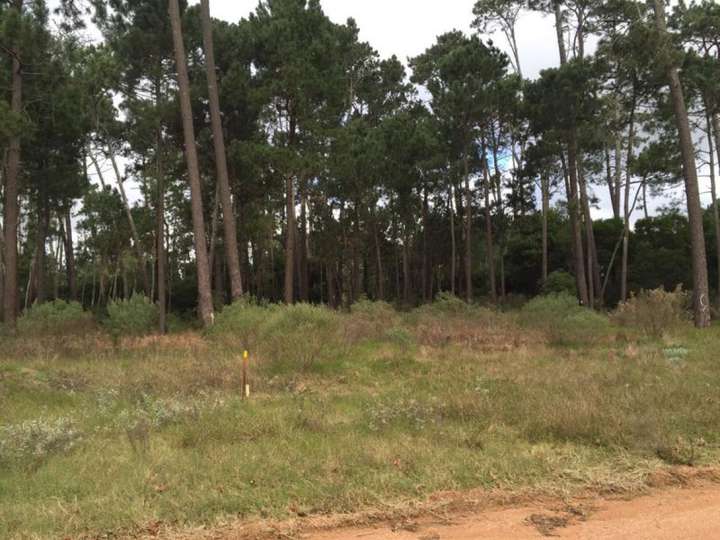 Terreno en venta en Pinares, Maldonado