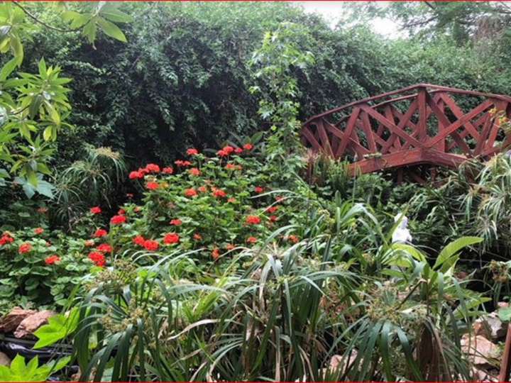 Casa en venta en Maldonado