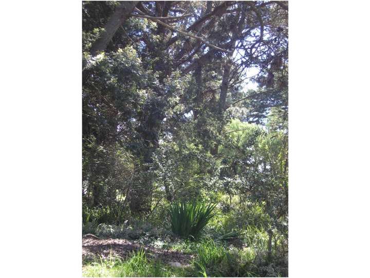 Terreno en venta en Maldonado