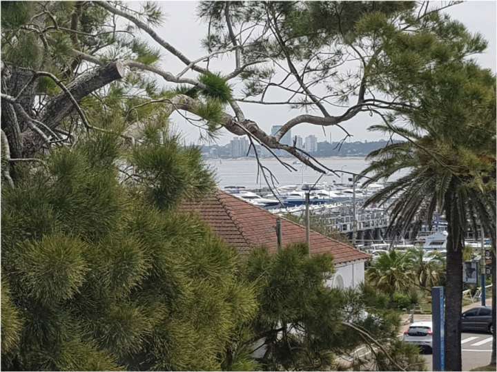 Apartamento en venta en Maldonado