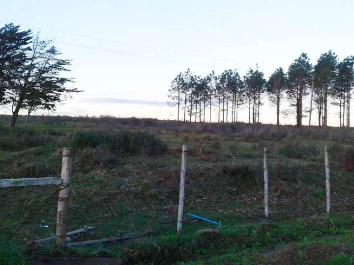 Granja en venta en Maldonado