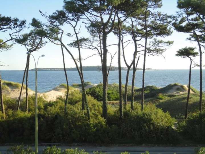 Apartamento en venta en Punta Del Este