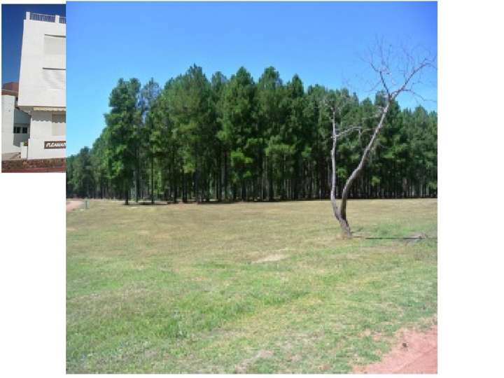 Terreno en venta en Maldonado