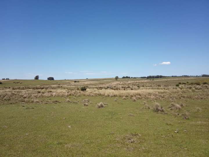 Granja en venta en Maldonado