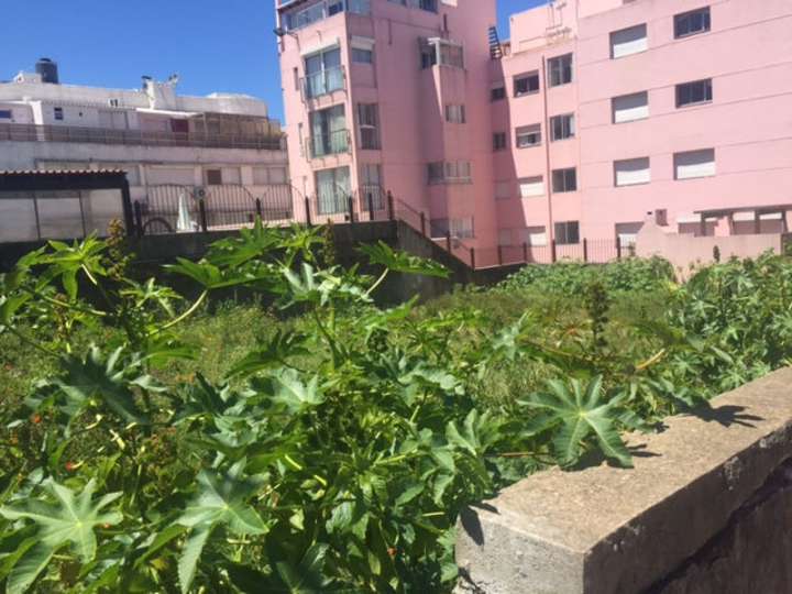 Terreno en venta en Los Arrecifes (Calle 25), Punta Del Este