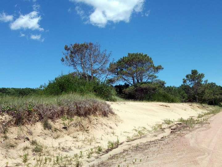 Terreno en venta en Rocha