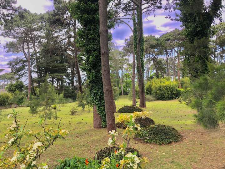 Terreno en venta en Punta Del Este