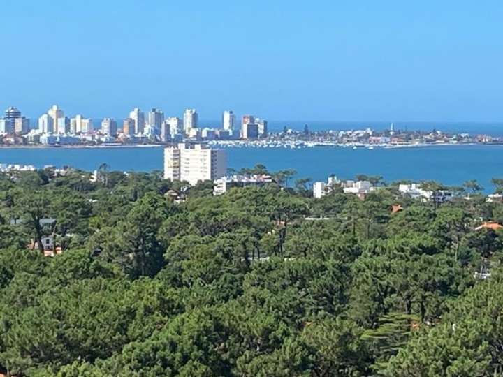 Apartamento en alquiler en Maldonado