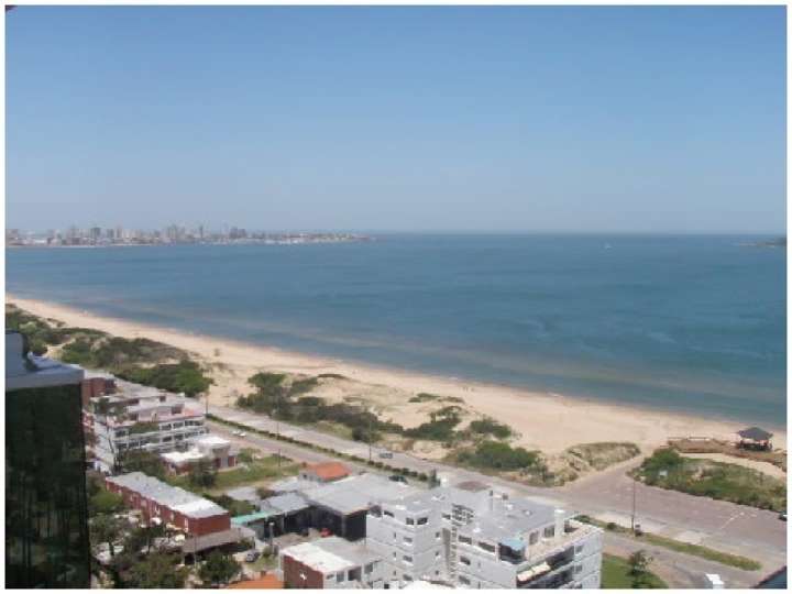 Apartamento en venta en Avenida Francisco Acuña de Figueroa, Maldonado