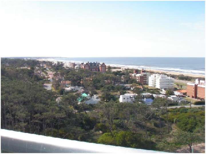 Apartamento en venta en Avenida del Mar, Punta Del Este