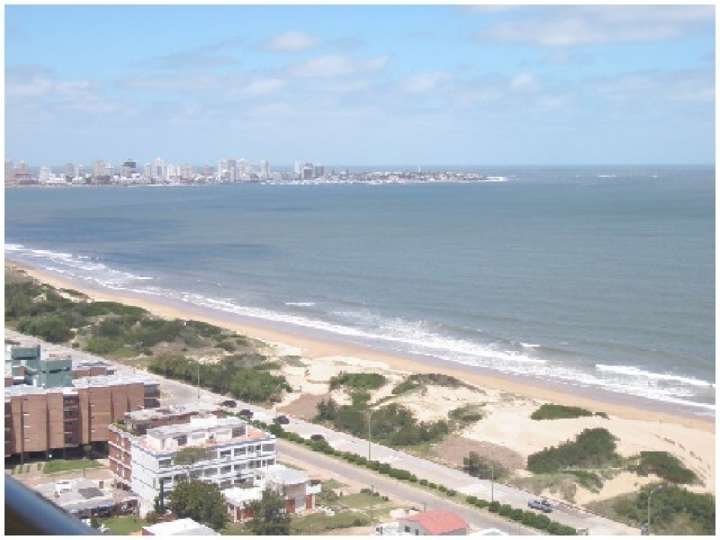 Apartamento en venta en Avenida Francisco Acuña de Figueroa, Maldonado