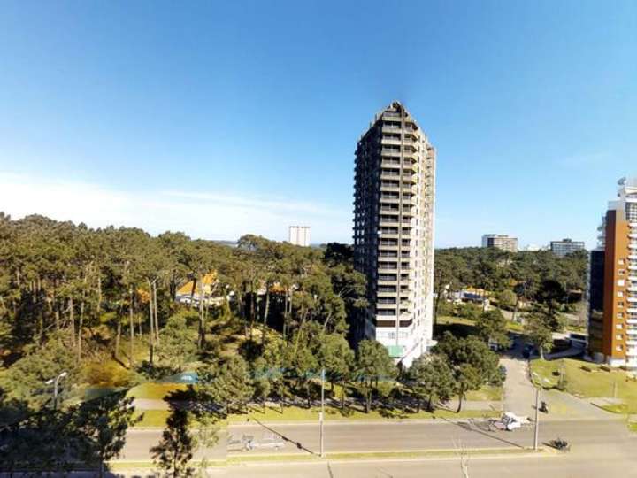 Apartamento en venta en Avenida Franklin Delano Roosevelt, Punta Del Este