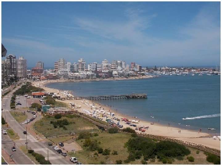 Apartamento en venta en Rambla Doctor Claudio Williman, Punta Del Este