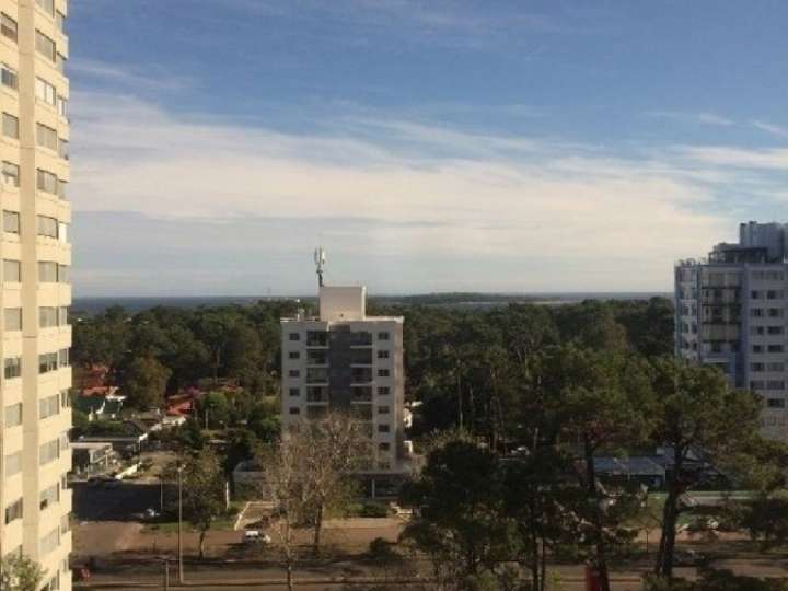 Apartamento en venta en Avenida Franklin Delano Roosevelt, Punta Del Este