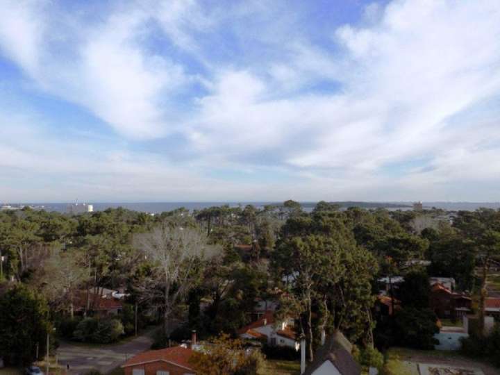 Apartamento en venta en Avenida Franklin Delano Roosevelt, Punta Del Este