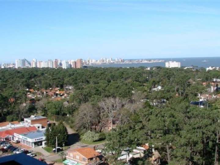 Apartamento en venta en Avenida Franklin Delano Roosevelt, Punta Del Este