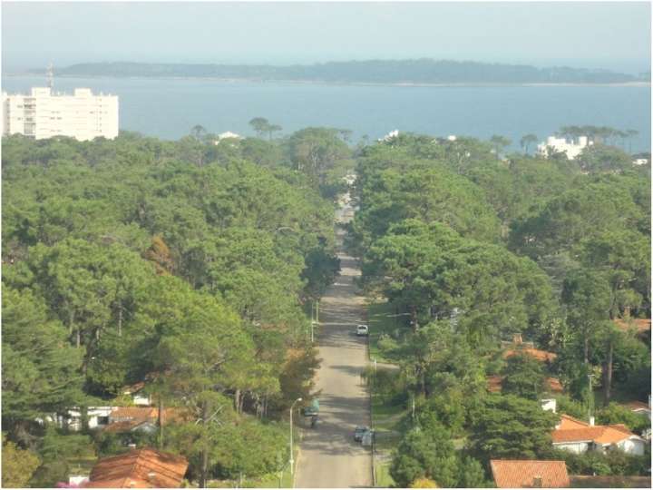 Apartamento en venta en Avenida Franklin Delano Roosevelt, Punta Del Este