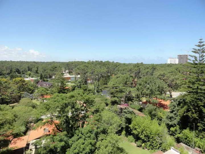 Apartamento en venta en Avenida Franklin Delano Roosevelt, Punta Del Este