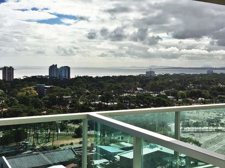 Apartamento en venta en Avenida Franklin Delano Roosevelt, Punta Del Este