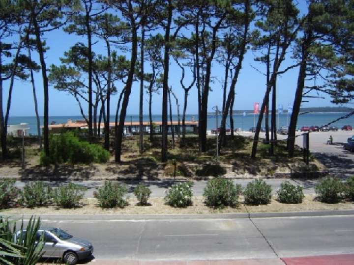 Apartamento en venta en Rambla Doctor Claudio Williman, Punta Del Este