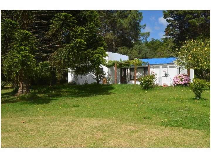 Casa en alquiler en Maldonado