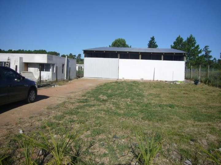 Comercial / Tienda en alquiler en Maldonado