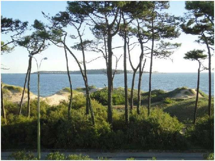 Apartamento en venta en Punta Del Este