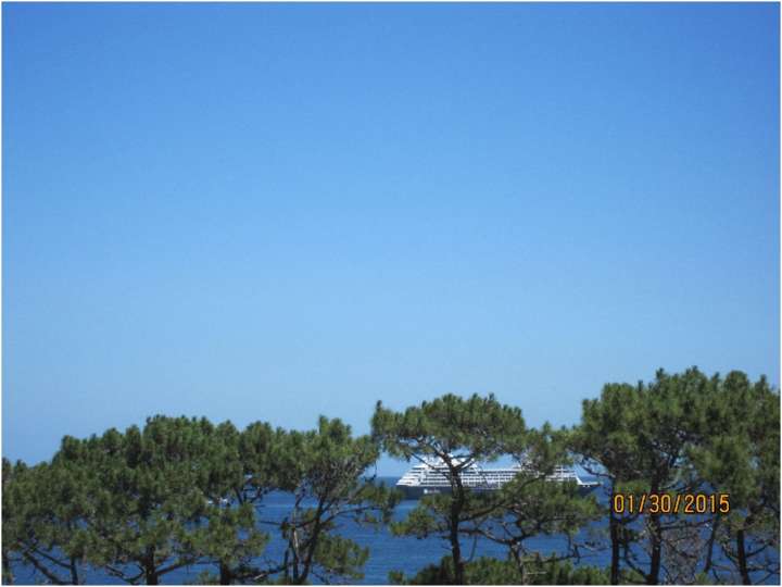 Apartamento en venta en Punta Del Este