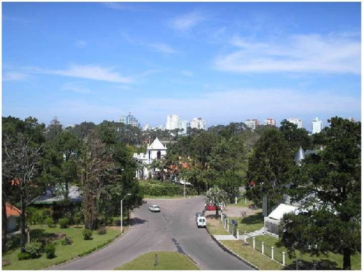 Apartamento en alquiler en Maldonado