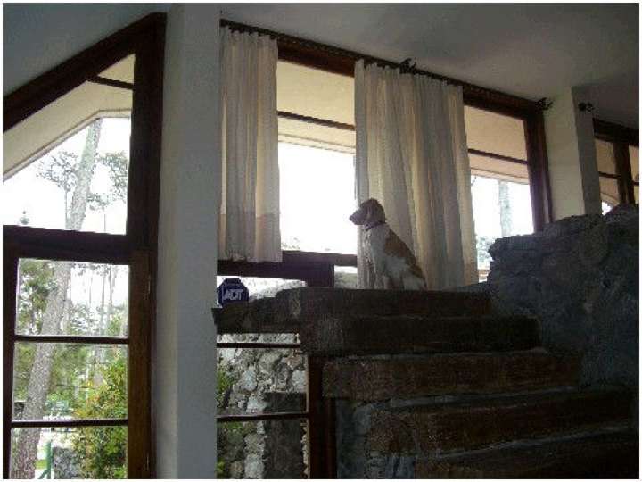 Casa en alquiler en Pinares, Maldonado