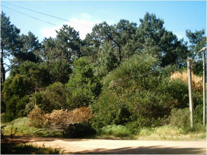 Terreno en venta en Punta Del Este