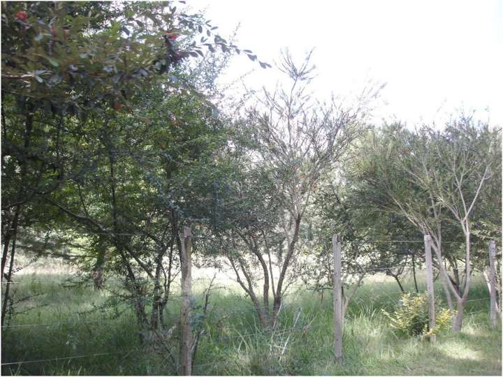 Granja en venta en Maldonado