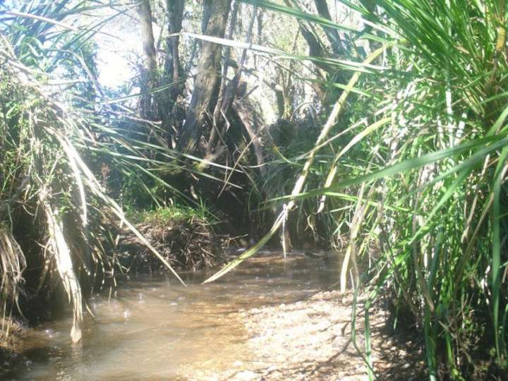 Granja en venta en Maldonado