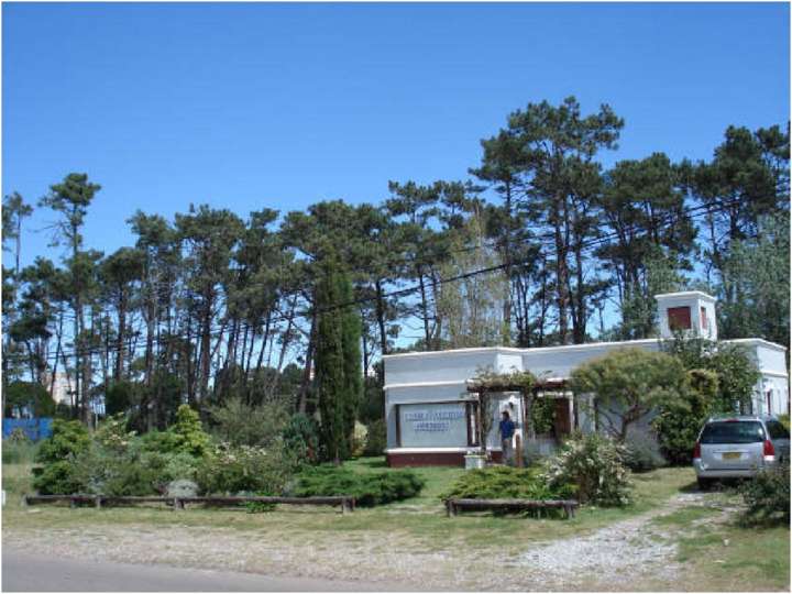 Comercial / Tienda en venta en Maldonado