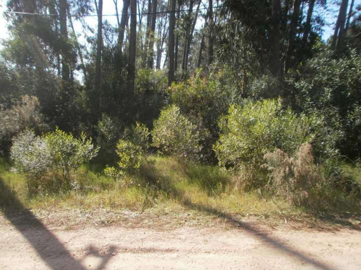 Terreno en venta en Maldonado