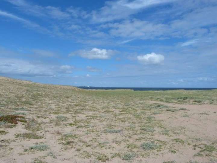 Terreno en venta en Maldonado