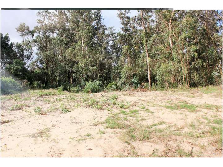 Terreno en venta en Punta Del Este