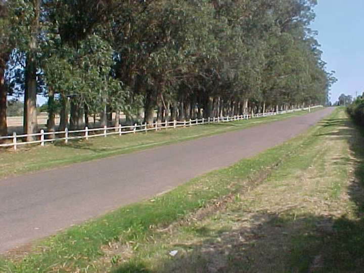 Terreno en venta en El Tesoro