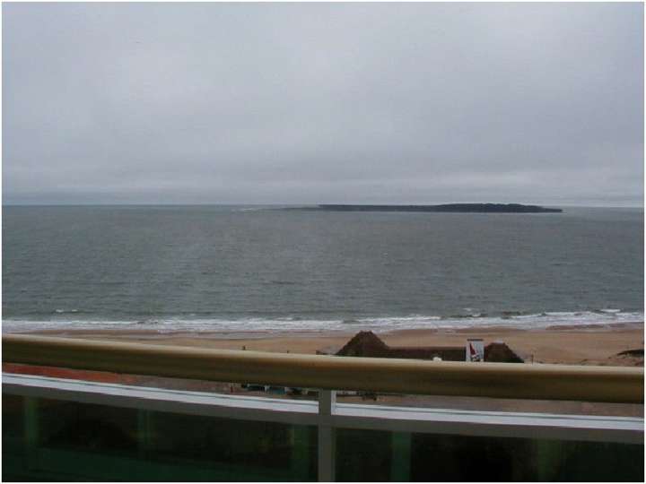 Apartamento en venta en Rambla Doctor Claudio Williman, Punta Del Este