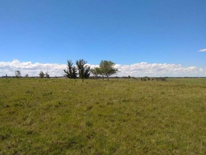 Granja en venta en Cuarto Camino Vecinal, Maldonado