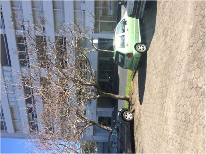 Apartamento en venta en Maldonado