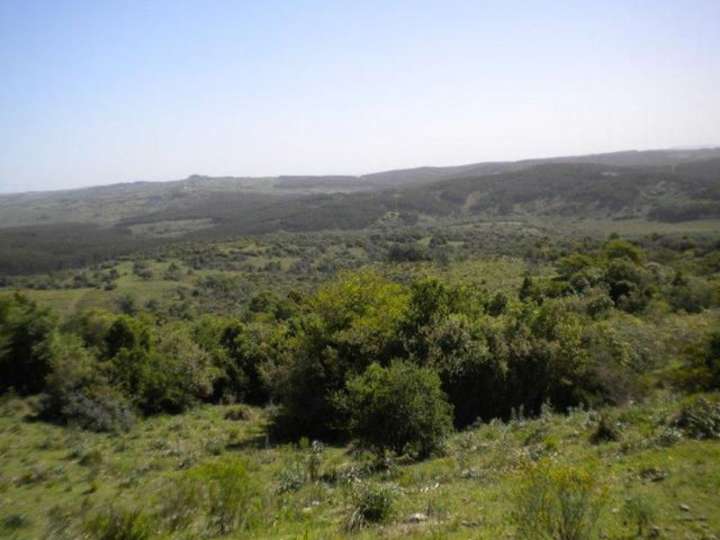 Granja en venta en Maldonado