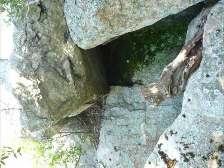 Granja en venta en Maldonado