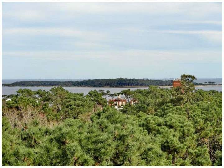 Apartamento en venta en Maldonado