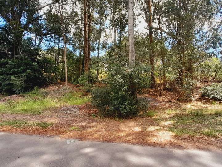 Terreno en venta en El Algarrobo, Punta Ballena