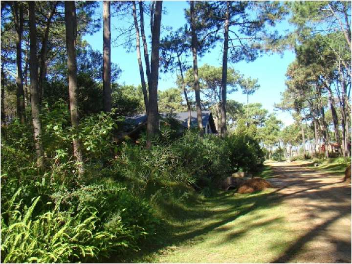 Terreno en venta en Maldonado