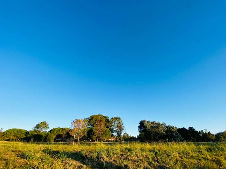 Terreno en venta en Maldonado